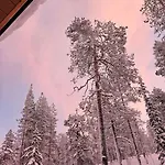 Golden Hill Yllaes, Luxury In Lapland Äkäslompolo