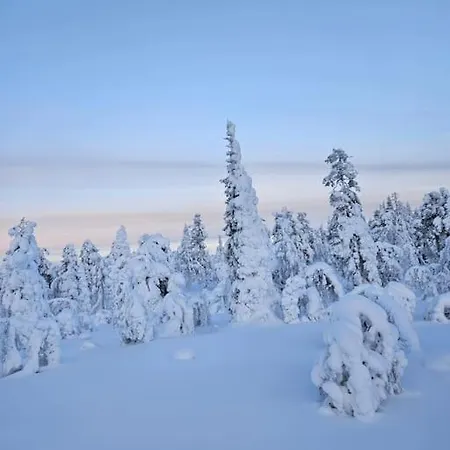 Golden Hill Yllaes, Luxury In Lapland Domek alpejski Äkäslompolo