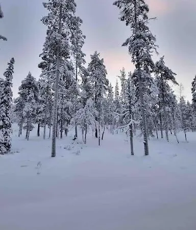 Golden Hill Yllaes, Luxury In Lapland *