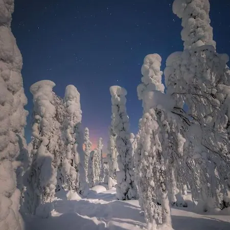 Golden Hill Yllaes, Luxury In Lapland Chalet *