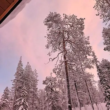 Golden Hill Yllaes, Luxury In Lapland Akaslompolo