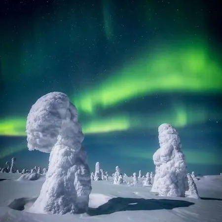 木屋 Golden Hill Yllaes, Luxury In Lapland *