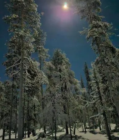 Golden Hill Yllaes, Luxury In Lapland Chalet Akaslompolo